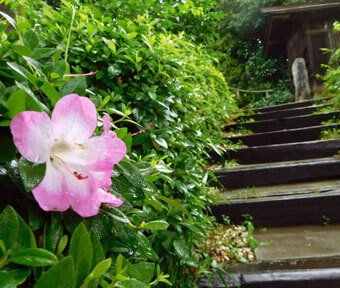 立川の公園・金比羅山