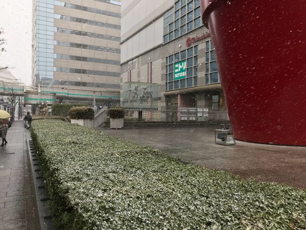 立川　雪が降っています
