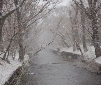 立川の四季・1月6日立川市に大雪注意報！