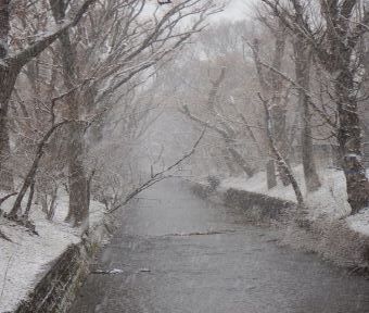立川の四季・1月6日立川市に大雪注意報！