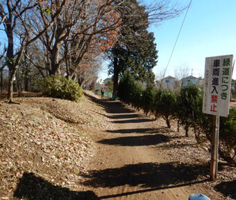 立川・野鳥の王国♪ 『玉川上水緑道のメジロ』