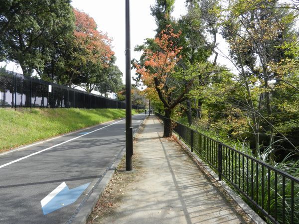 大橋・いちょう橋・ぎんなん橋