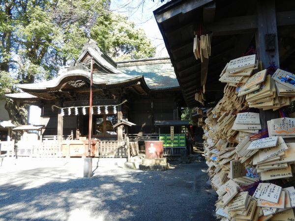 谷保天満宮の梅