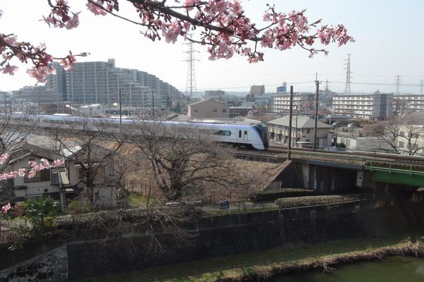 中央線と残堀川3月11日