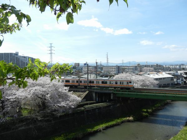 中央線と残堀川4月1日