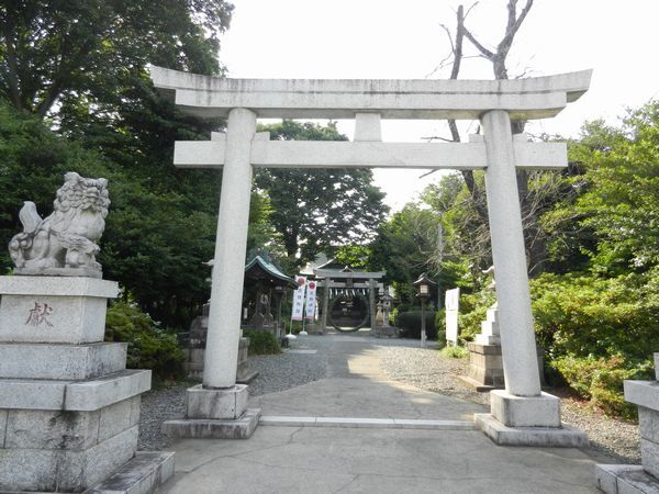 明日は大祓（夏越の祓）