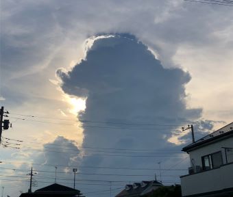 立川ごよみ2022 大暑（たいしょ）末侯 ～大雨時行る（たいうときどきふる）～