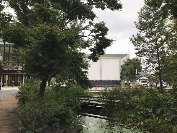 Green Night CINEMA開催中