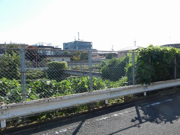 歴史と文化の散歩道⑤-6