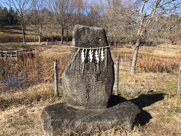 昭和記念公園こもれびの里「お正月飾り」