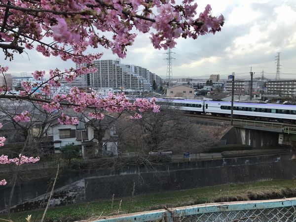 中央線と残堀川3月2日