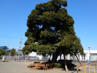 大魔王降臨か？！ 西砂第二公園に新たな情報！