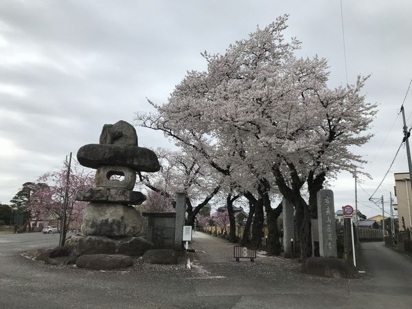 中央線と残堀川3月27日