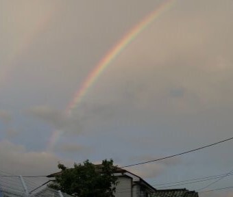 初夏の花、例年よりも早く咲いている？