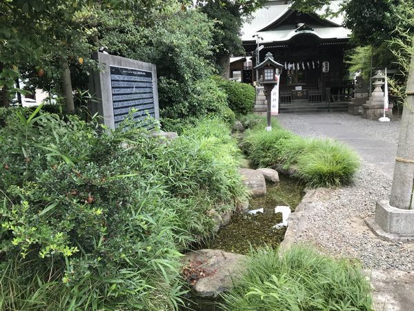 夏越しの大祓いは明日