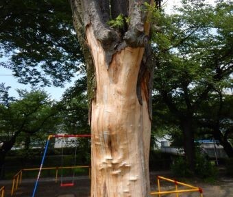 立川の変遷・立川公園陸上競技場のスタンド解体工事！その後