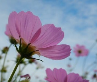 急速に秋が深まり、空気は澄んでくる季節