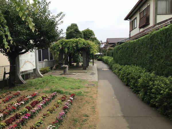 栄緑道（立川飛行機専用線廃線跡地）④