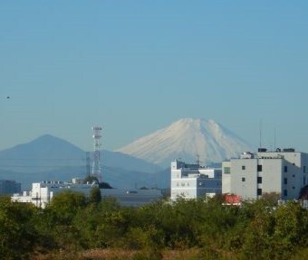 立川の四季「二十四節気・七十二侯 2023」～小雪（しょうせつ）～