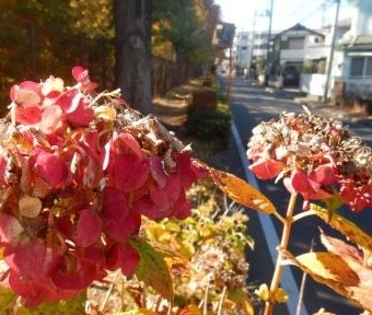 立川の道・交差点「上水北通り」