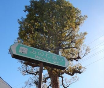 立川の道・交差点「みのわ通り」