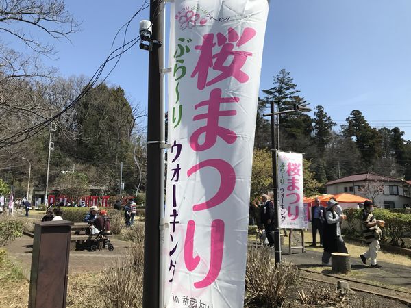 武蔵村山市桜まつり2024