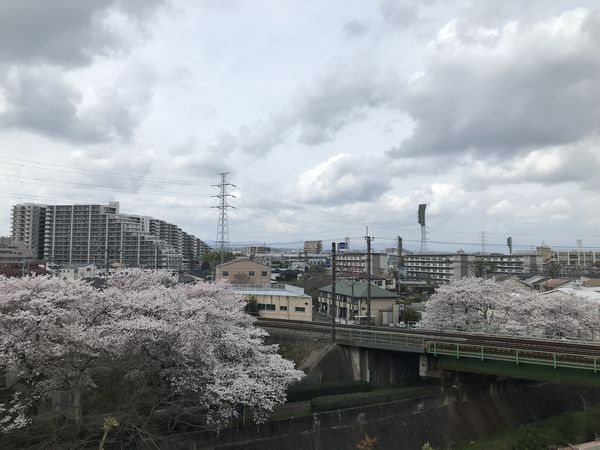 中央線と残堀川4月8日