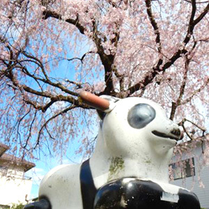 立川の公園・遊具リニューアル情報！
