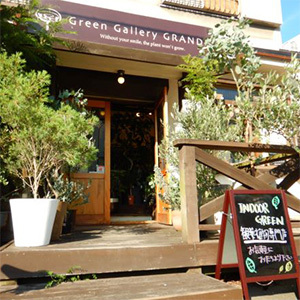 立川名店街 おいでやす！たちかわ　Green Gallery GRANDE 立川店