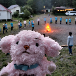 わんぬが初めてのキャンプファイヤーに参加したよ♪