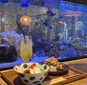 柴崎町「パイカジテラス」で味わうソーキそば&タコライス