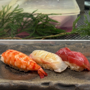 「鮨処みやざき」さんに初めてのランチ