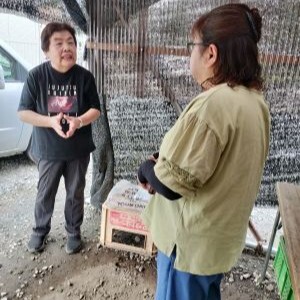 若葉町・尾崎農園の直売所では…