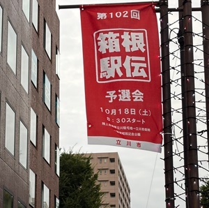 今週末いよいよ箱根駅伝予選会が開催されます!