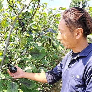 『気になる人インタビュー』更新情報