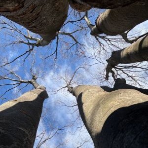 二十四節気 2025！ 冬至の立川市