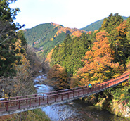 深まる秋… 「あるきたくなる街」あきる野へ 「秋川渓谷ワイルドツアー」より