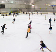 立川に一番近いスケートリンク、スキー場