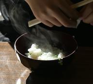 摘んできた野草で「七草粥」を作りました。