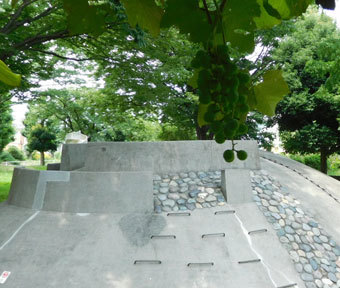 立川の公園・富士見町団地 ぐるぐる公園