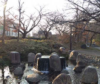 立川の公園・根川緑道