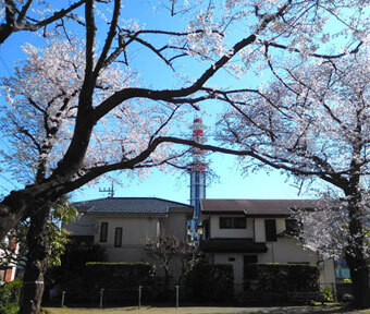 立川の公園・曙三東公園