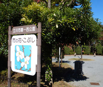 立川の公園・曙一西公園