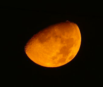 昨夜の月は「オレンジ色」でした。