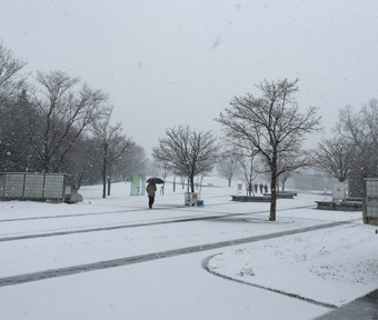 立川の雪景色（緑町付近）