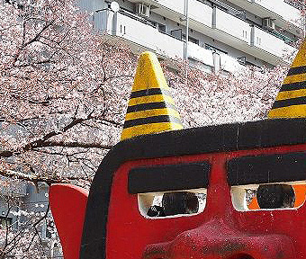 錦町「オニ公園」の桜