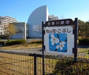 立川の公園・多摩川緑地