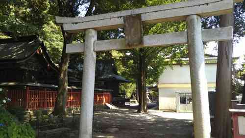 谷保天満宮「あじさい祭り」は6月23日