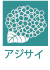 アジサイ