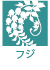 フジ